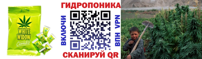 купить  цена  Кемь  Еда ТГК марихуана 