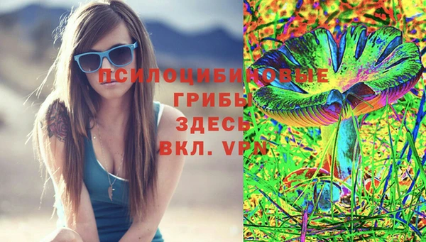 прущий лед Алексеевка