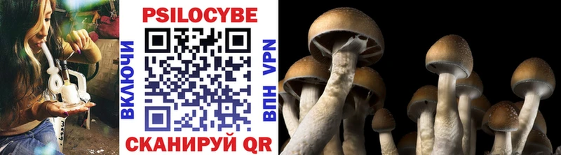Галлюциногенные грибы MAGIC MUSHROOMS  Кемь 